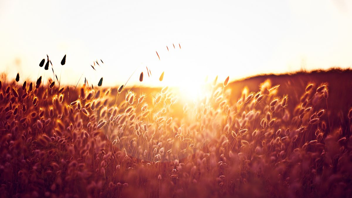 Couché de soleil à l'Ile d'Yeu. Je prends un grand plaisir à faire des photos de paysage, ou de concert. Cependant, j'ai pour projet de réaliser diverse mises en scène, ou des photos studio. Manquant de matériel et de moyens, je mets mes espoirs en ce concours, pour espérer mener à bien mon projet !