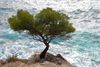 Les Calanques à Cassis