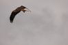 DSC02877.JPG