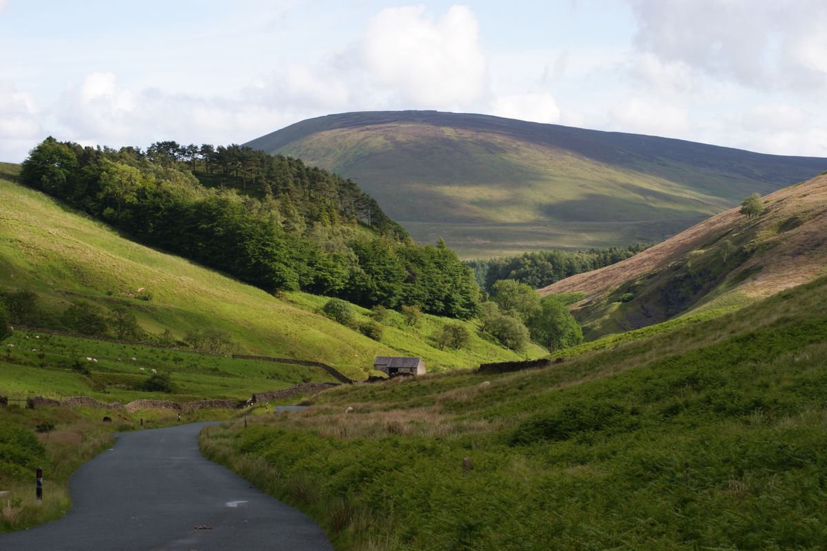 Rolling Hills: