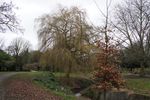 Priory Park
