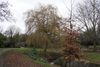 Priory Park