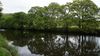 BURNSALL