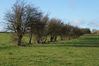 near Thame