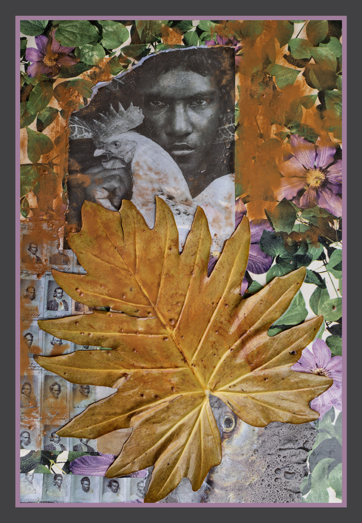 SEYCH7.jpg SEYCH7.jpg