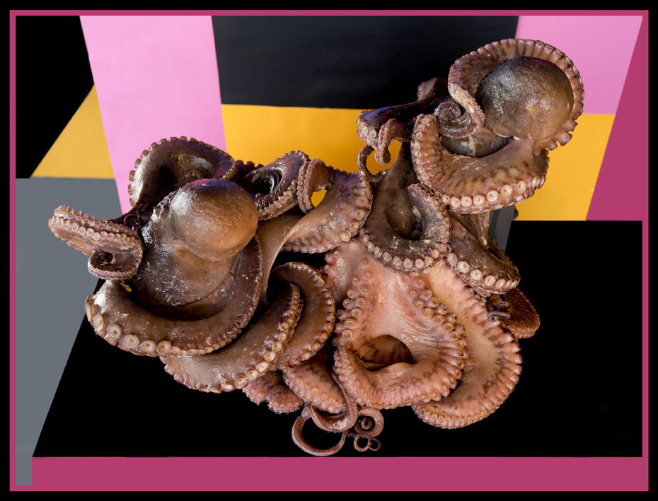 SEYCH3.jpg SEYCH3.jpg