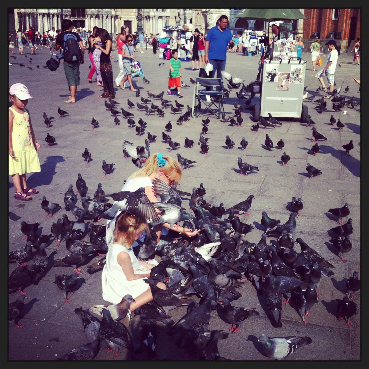 Madness in Piazza San Marco, Venice, Italy. 