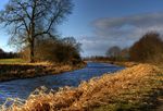 Photo taken from footpath near Haining Wood.