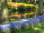 The picture shows you an reflection of spring flowers in a game with different lights.