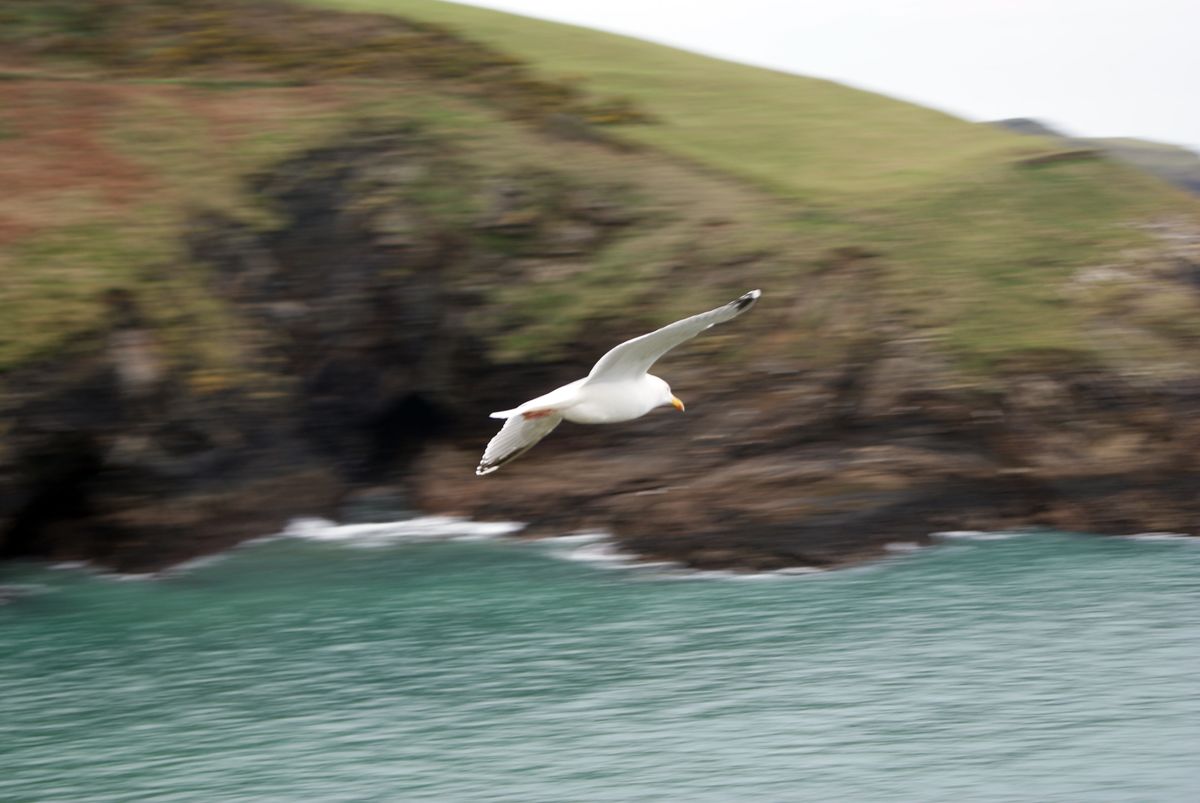 2012 Port Isaac Cornwall UK