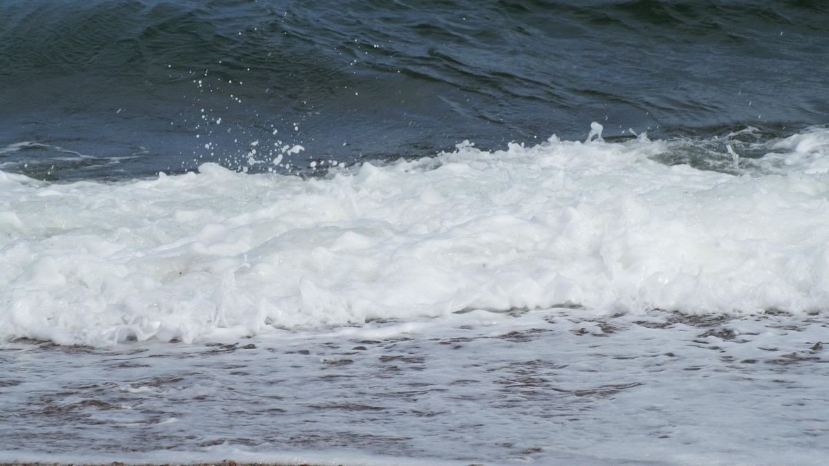 white horses