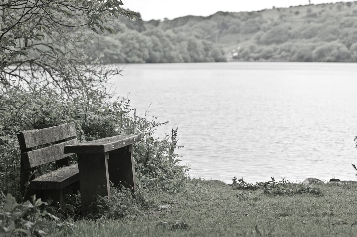 Old bench
