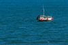 Due to missing the tide the owner of this boat had to leave it moored out at sea just past the harbour entrance.  Good job it was a calm day.