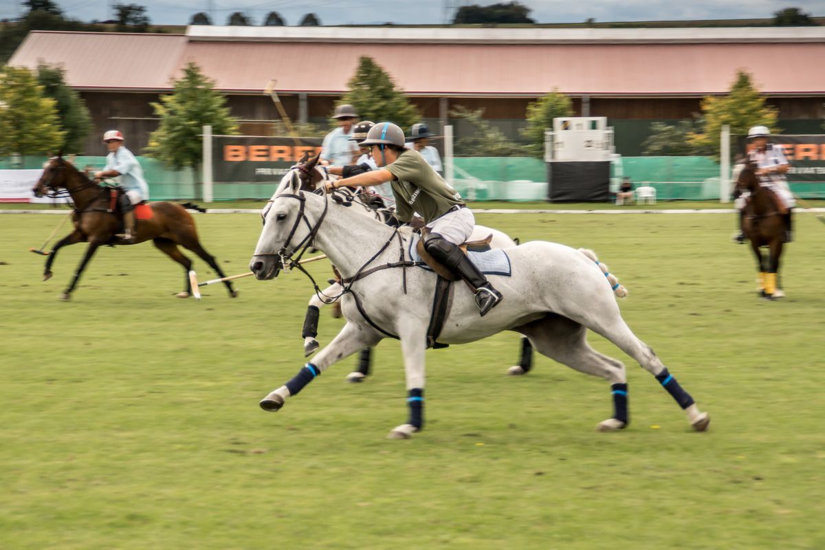 Sprinteinlage während des Poloturniers in Stuttgart 2013