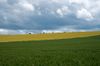 It was a day of changeable weather so I decided to go for a drive. I spotted this landscape, the first thing I say was the contrast between the two fields and the moody sky.