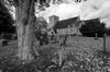 St Mary's church, Thatcham