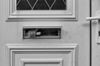 Peeking through the letter box!