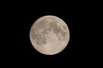 Bombers Moon?