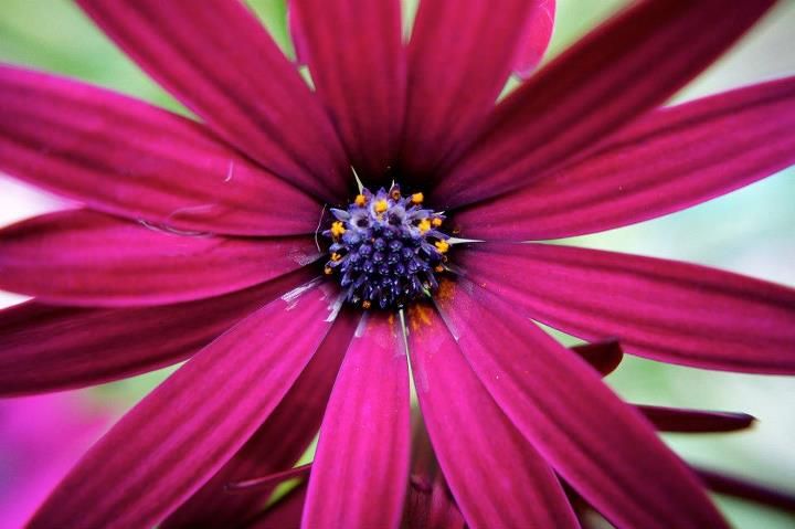 color