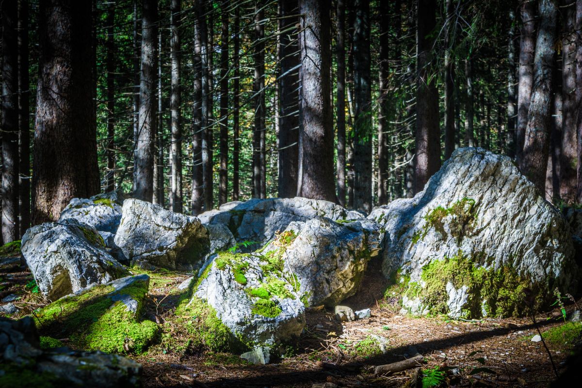 Geradezu geheimnisvoll erscheint dieser "Steinplatz" in den Tannheimer Alpen, nahe des Vilsalpsees.