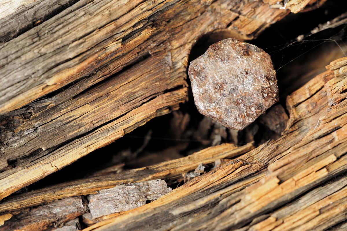 old rusted screw and aged plank of wood 