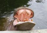 15360