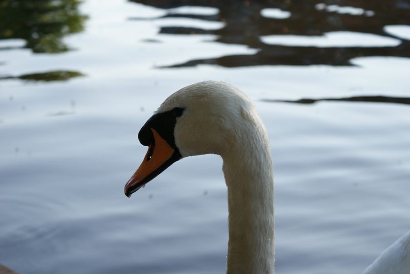 20956