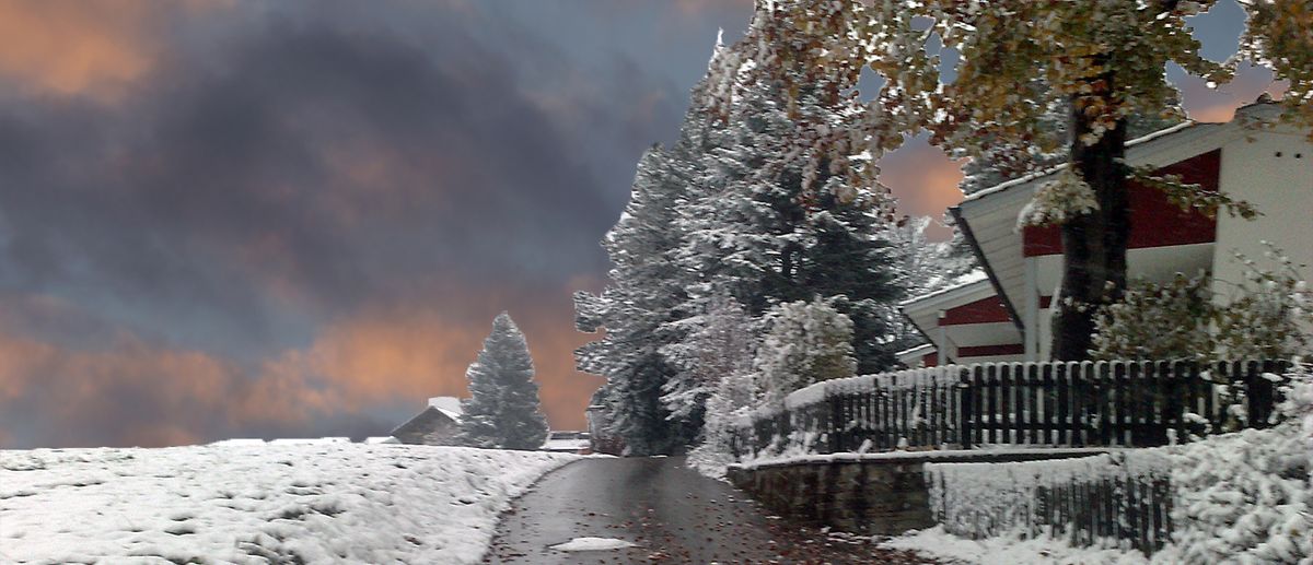 Winter.jpg