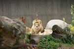 zoo