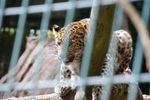 zoo