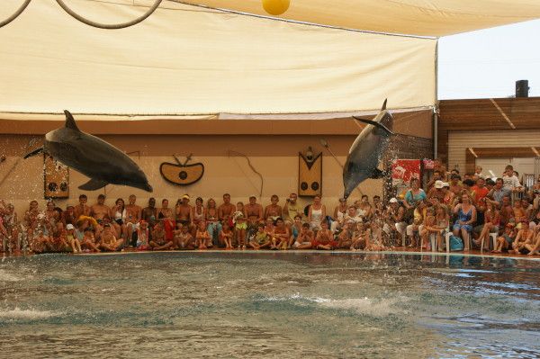 14167
