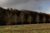 Herbststimmung