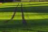 Spur im Feld