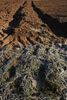 die Spur im Acker
