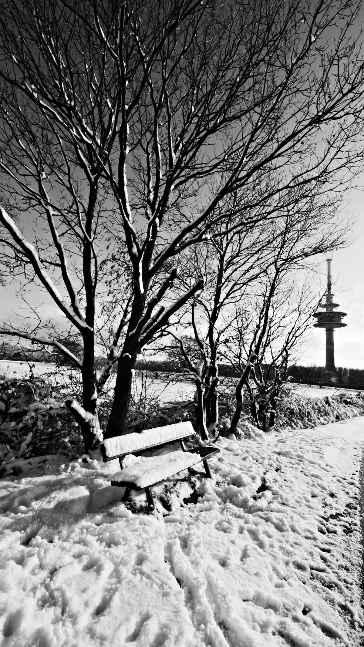 Winterlandschaft