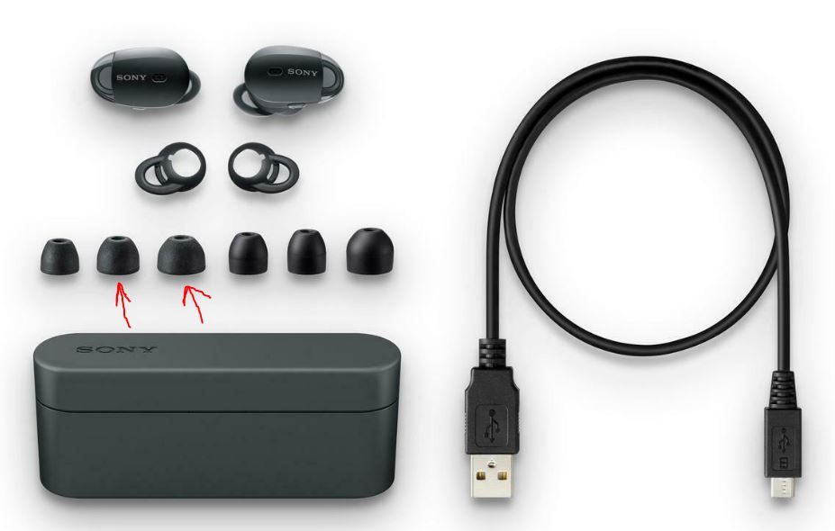 This image clearly shows that Sony even includes normally shaped eartips.