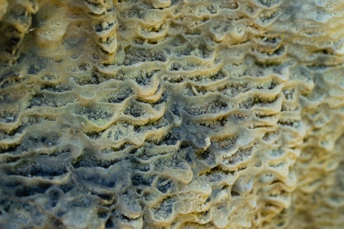 Terrassen von der Natur mit geformt