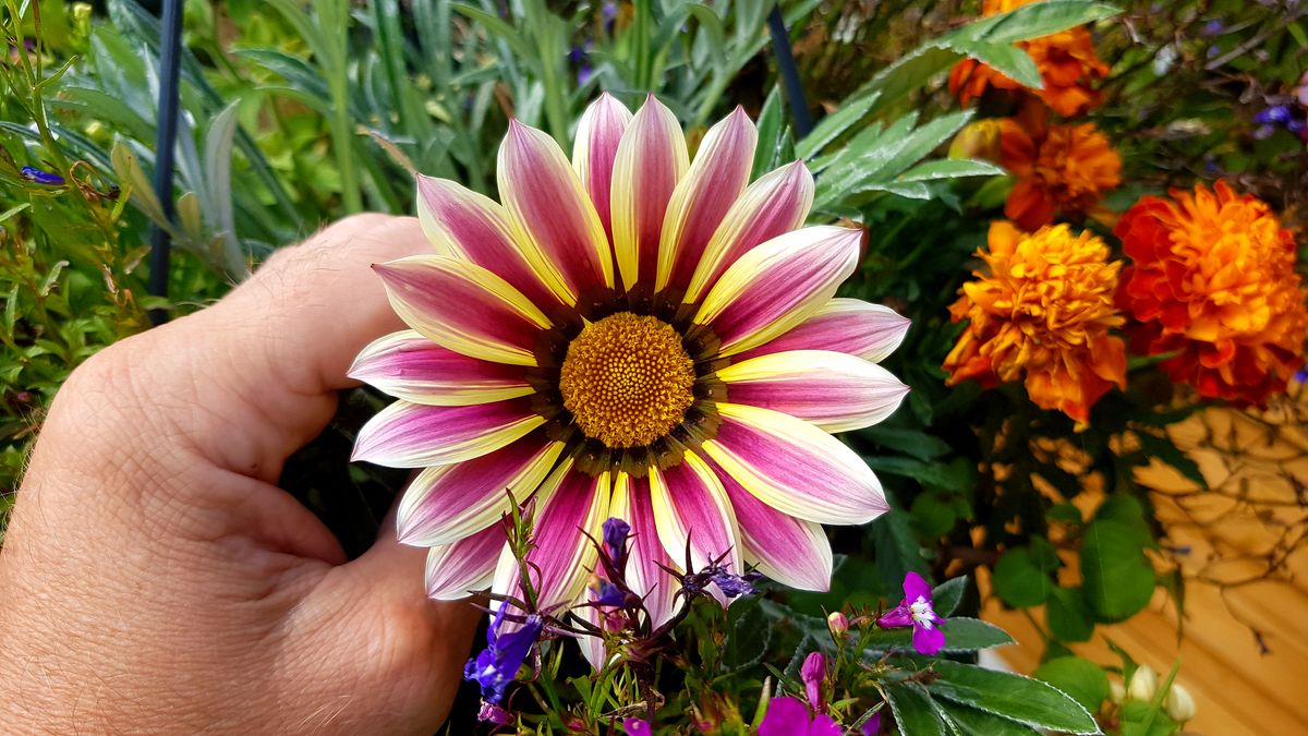 20190823_082814.jpg