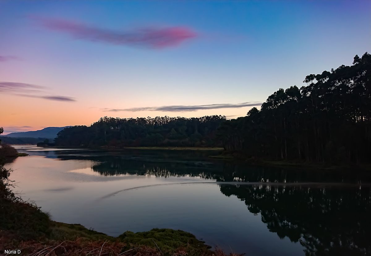 Water reflections