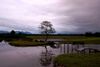 taken with alpha 350 .lens sal18-250