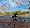 Frau-mit-Fahrrad.jpg