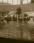 Public (MiSio-----)