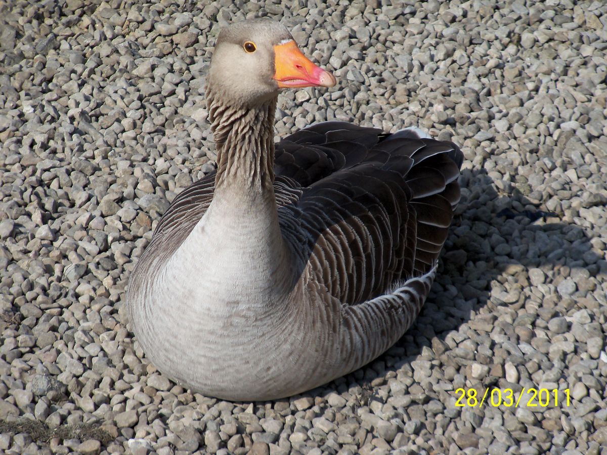 Taken at lakeside Keswick