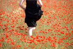 Vive le printemps !